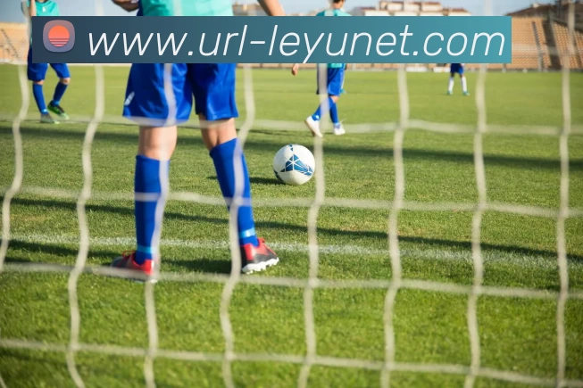 乐鱼体育发展历程